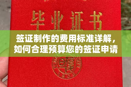 云霄签证制作的费用标准详解，如何合理预算您的签证申请成本